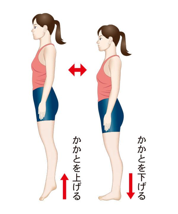 下肢静脈瘤セルフ対策】予防には血流アップの「かかと上げ下げ」がおすすめ｜カラダネ | 静脈瘤, 血流, 下半身ダイエット
