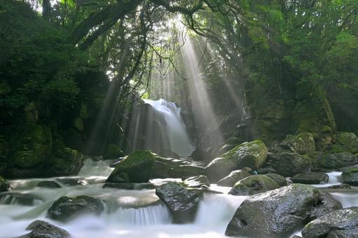 沢の写真素材｜写真素材なら「写真AC」無料（フリー）ダウンロードOK