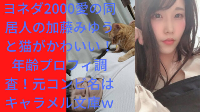 ヨネダ2000愛の同居人の加藤みゆうと猫がかわいい！年齢プロフィ調査！元コンビ名はキャラメル文庫ｗ｜TrendWatch