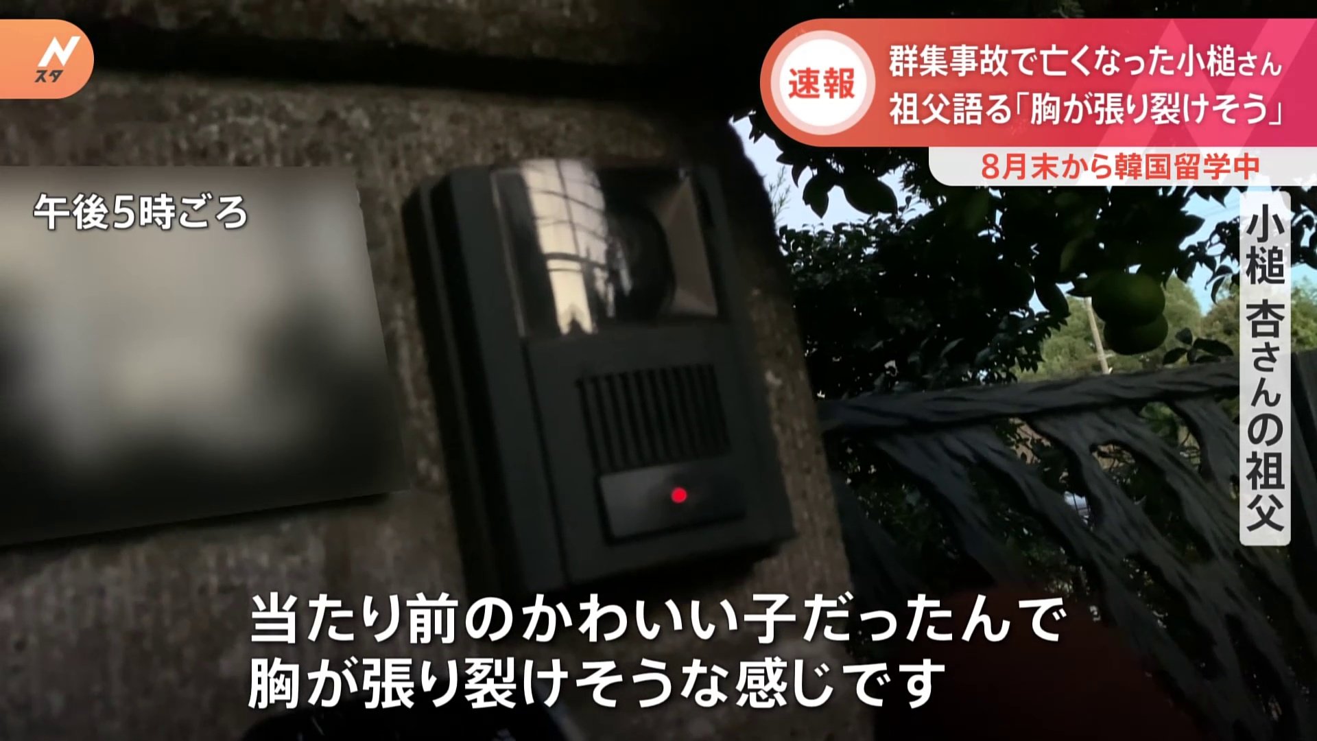 胸が張り裂けそう」小槌杏さん(18)の遺族が悲しみを語る 韓国ハロウィーン群集事故 | TBS NEWS DIG