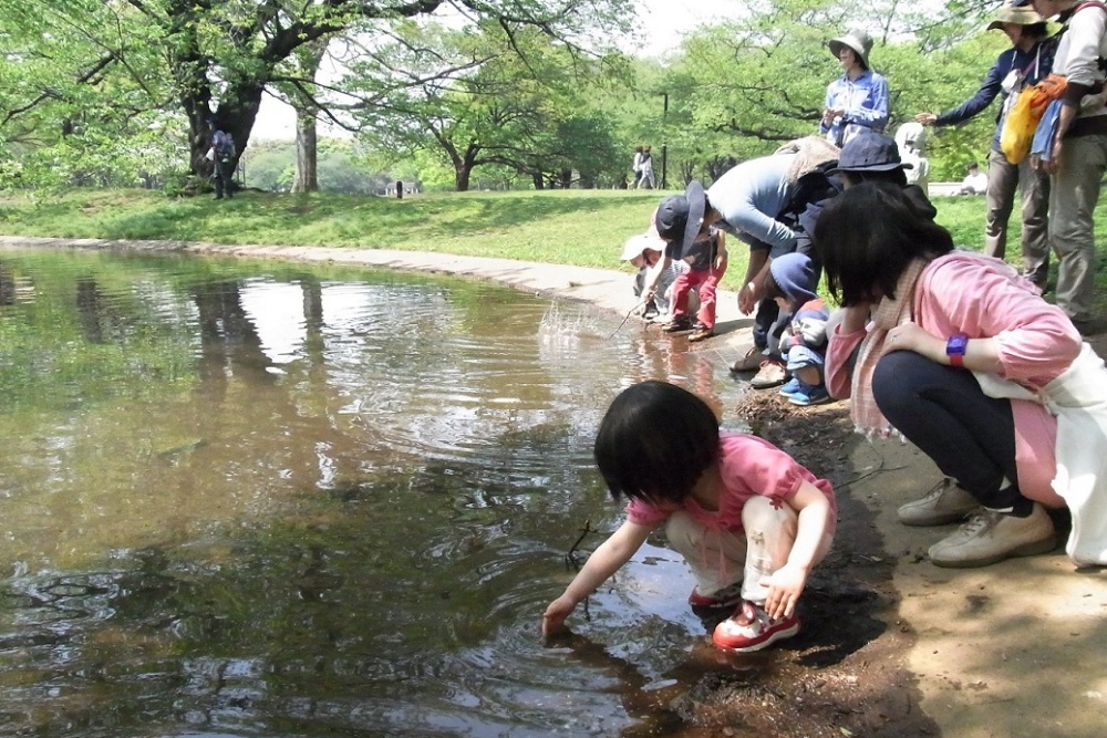 自主保育 原宿おひさまの会 | 多様な学びのカタログサイト マナカタ