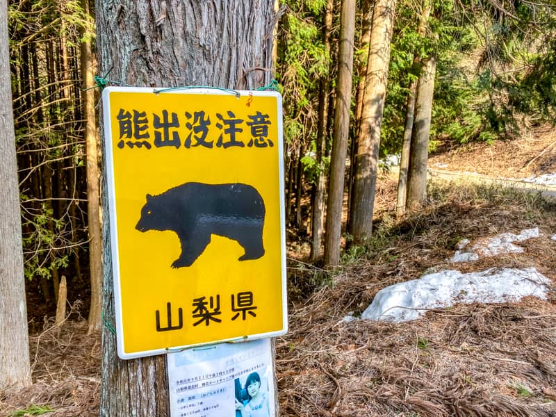 今改めて伝えたい椿荘オートキャンプ場の魅力と2人ソロキャンプの醍醐味 – キャンプクエスト