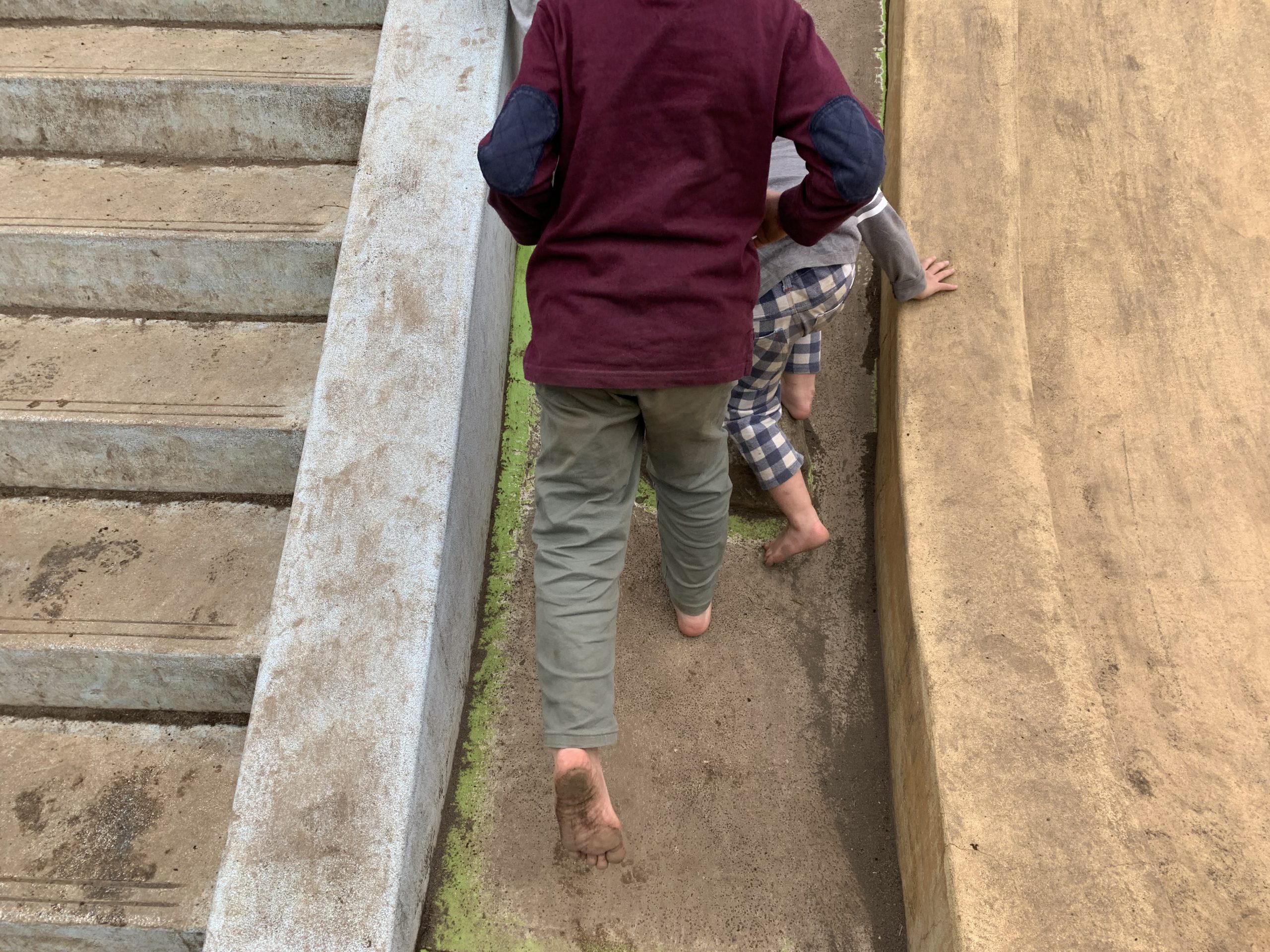 子供が裸足で遊ぶ３つのメリットとは？【足育】 | 社会保険労務士事務所 ファインネクサス