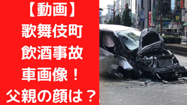 動画 歌舞伎町からディズニーシーでの飲酒事故車画像 父親の顔は Trendwatch