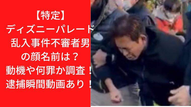 特定 ディズニーパレード乱入事件不審者男の顔名前は 動機や何罪か調査 逮捕瞬間動画あり Trendwatch